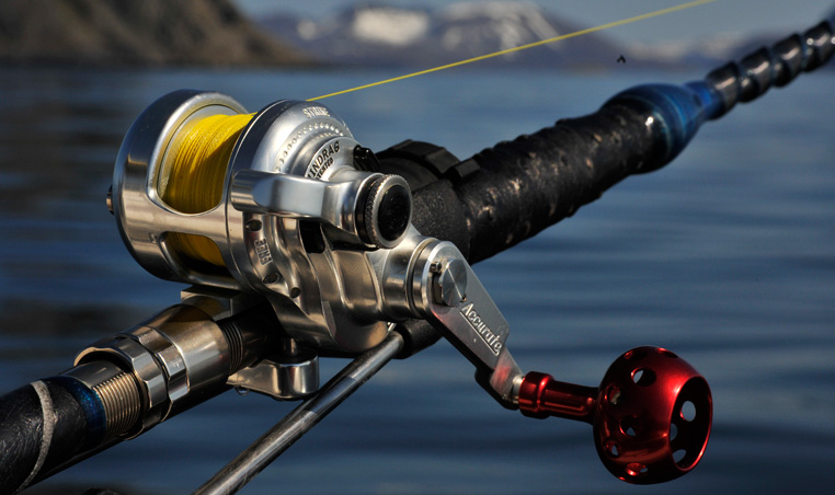 Our Accurate BX400N reel just waiting for the action to start