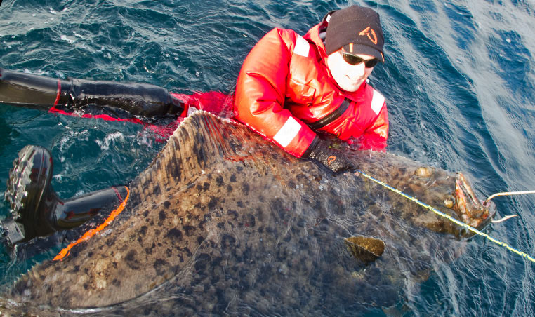 Alm with his PB of 217cm Halibut caught in Norway