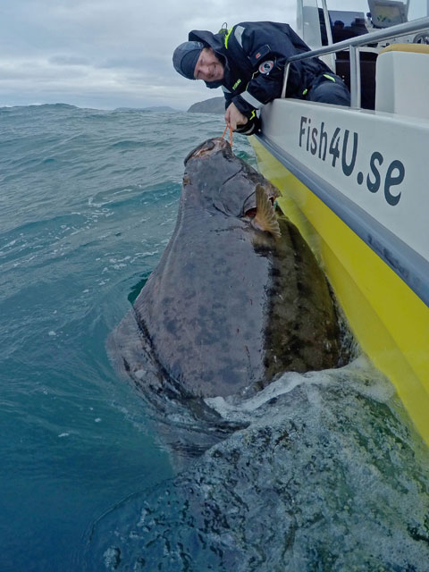 David with his PB of 194 cm Halibut