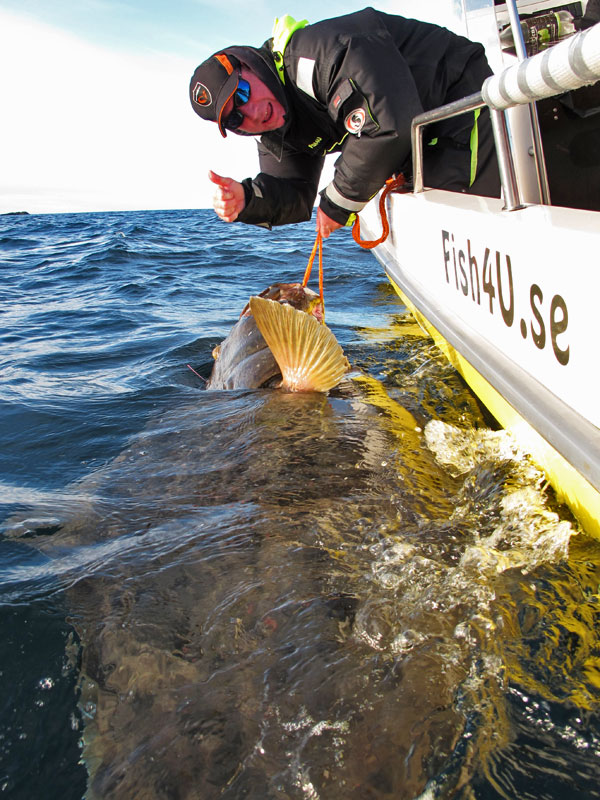 Stefan and his PB 218 cm Halibut that of course was released