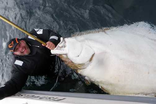 Happy Allan and his 203 cm Halibut