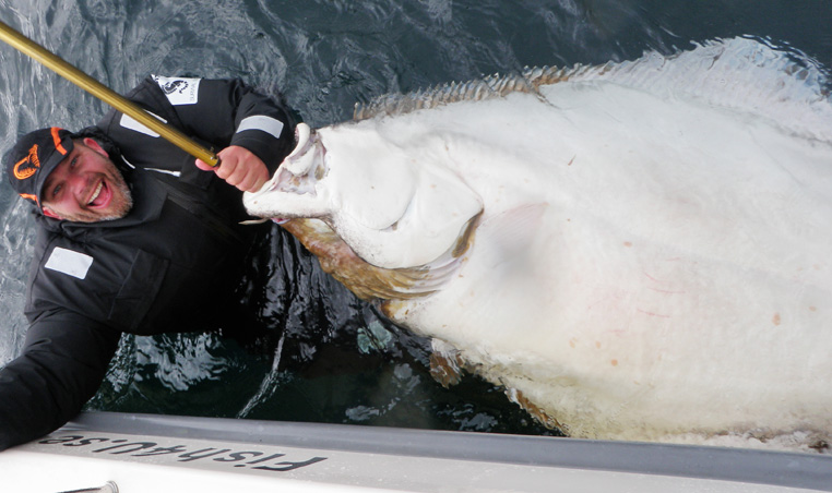 Allan 203 cm Halibut